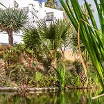 Tetuan 40 Oasis نيرخا