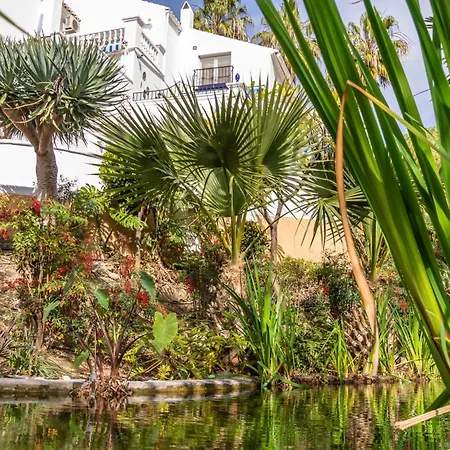 Tetuan 40 Oasis Nerja