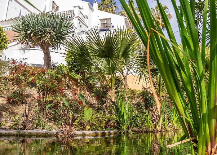 Tetuan 40 Oasis Nerja