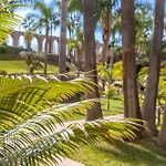 Tetuan 40 Oasis