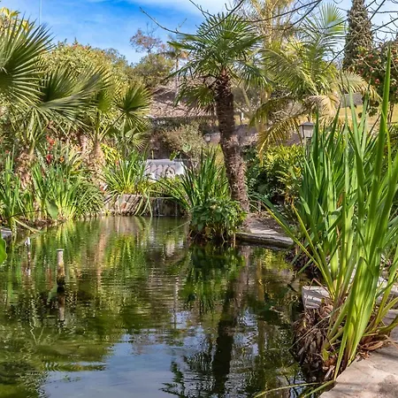 Tetuan 40 Oasis